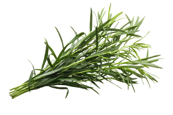 Bundle of tarragon Artemisia dracunculus, paths — Stock Photo, Image