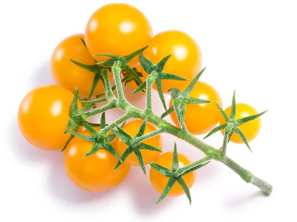 Cherry tomatoes on vine, paths — Stock Photo, Image