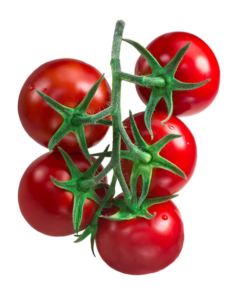 Cluster of tomatoes, paths — Stock Photo, Image
