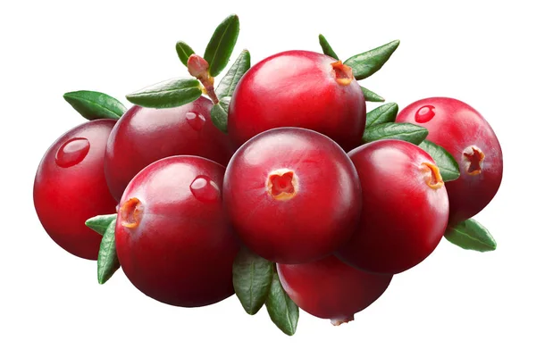 Cranberry composition, clipping paths — Stock Photo, Image