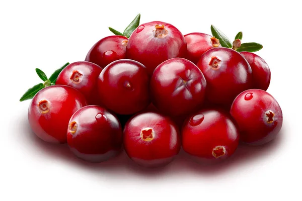 Σωρός από cranberries, διαδρομές — Φωτογραφία Αρχείου