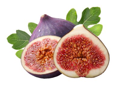 İncir meyve (Ficus carica), yolları