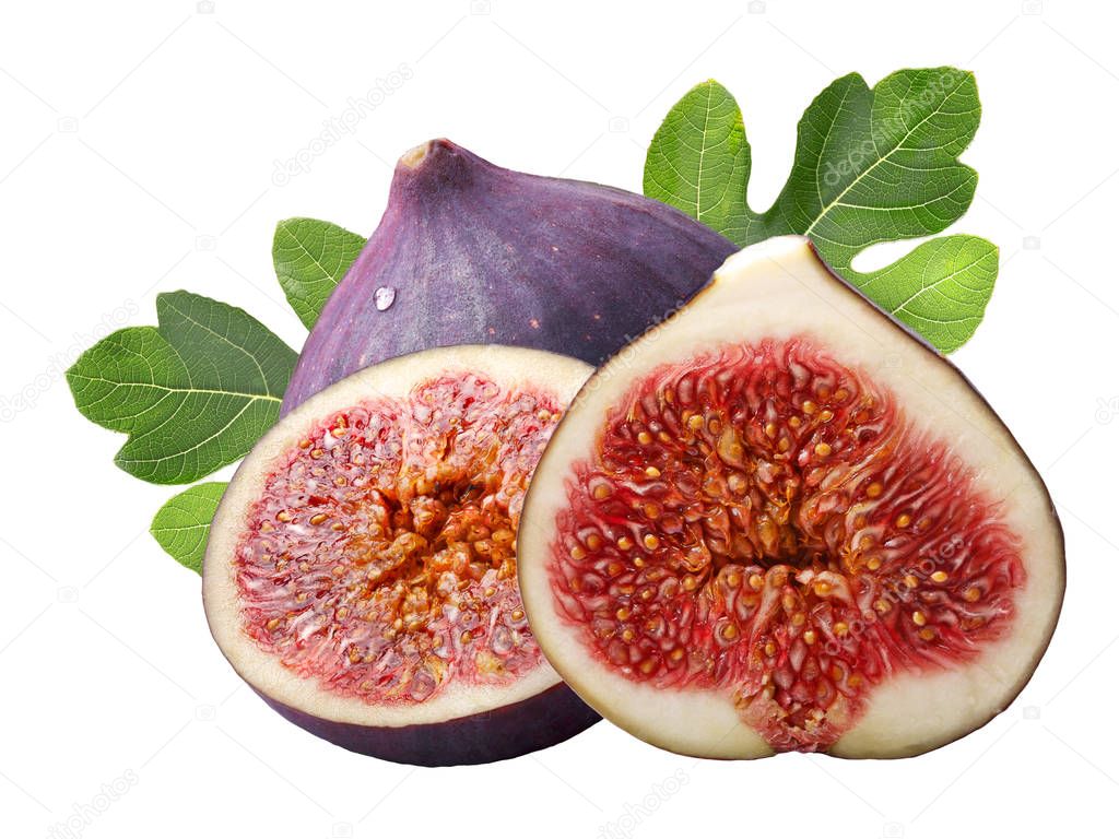 Fig fruits (Ficus carica), paths