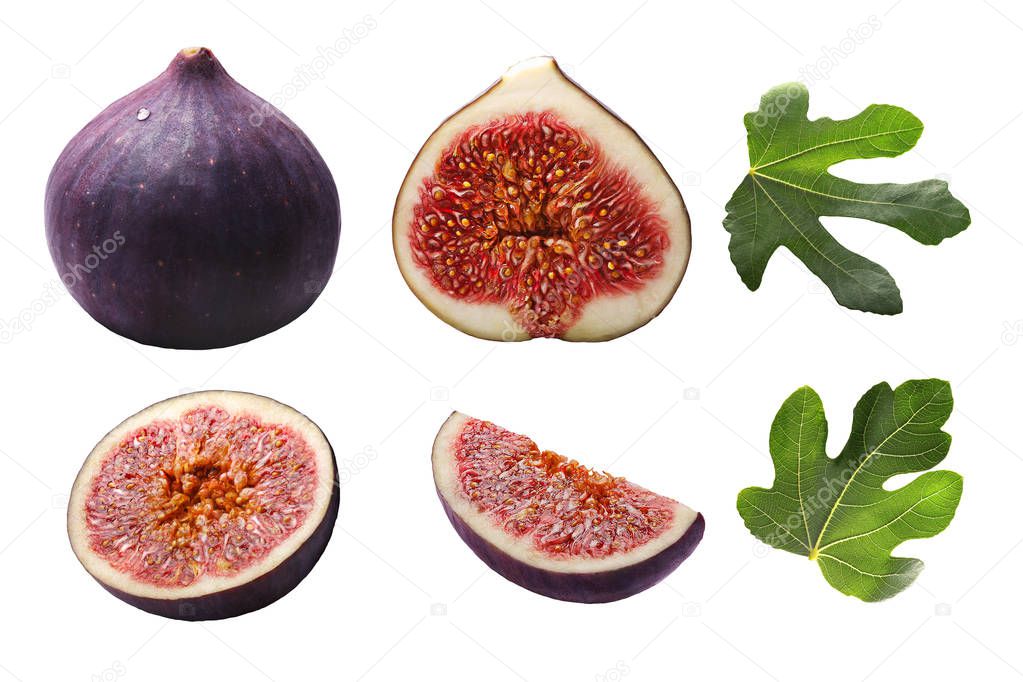 Figs whole and sliced (Ficus carica), leavesl,  paths
