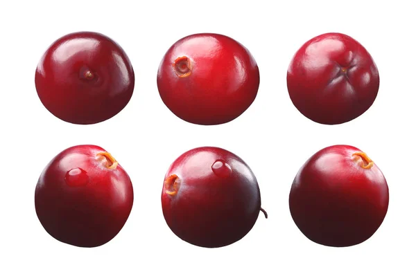 Single cranberries, shadowless, paths — Stock Photo, Image