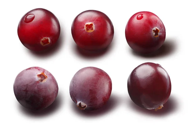 Cranberries individuais, caminhos — Fotografia de Stock