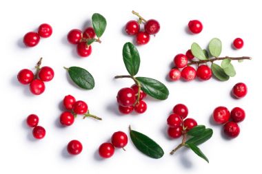 İsveç kirazı vaccinium vitis-idaea, üstten görünüm, yolları