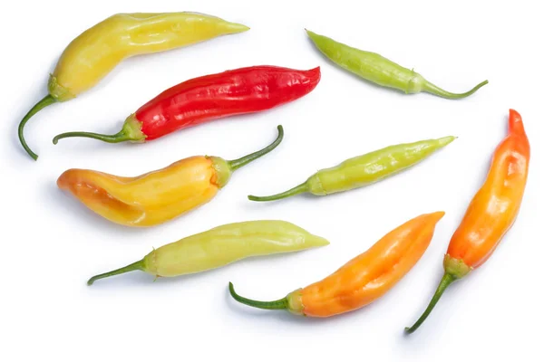 Aji Cristal C. baccatum chile, paths, top view — Stock Photo, Image