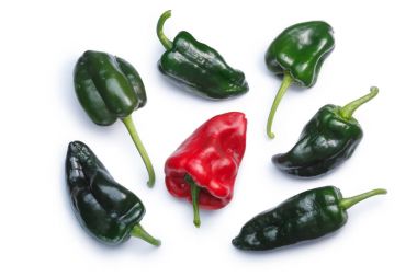 Ancho Poblano biber, üstten görünüm, yolları
