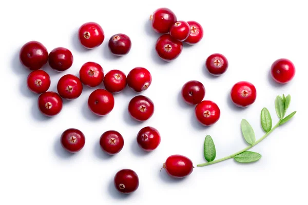 Cranberries with leaves, top view, paths — Stock Photo, Image