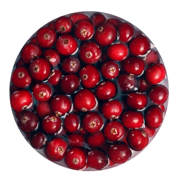 Floating cranberries imersos, vista superior, caminhos — Fotografia de Stock