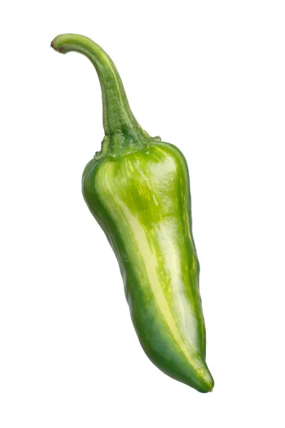 Fisk peppar C. annuum, vägar — Stockfoto