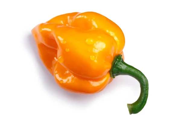 Numex Suave Orange chile, vägar, ovanifrån — Stockfoto