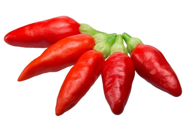 Tabasco chiles C. frutescens, paths — Stock Photo, Image