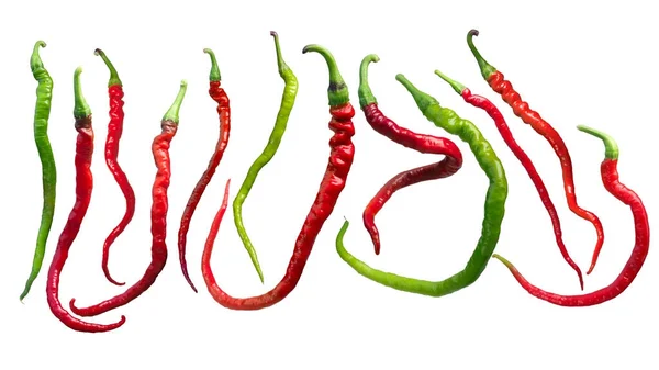 Bangalore whippet 's tail chile chiles, caminos —  Fotos de Stock