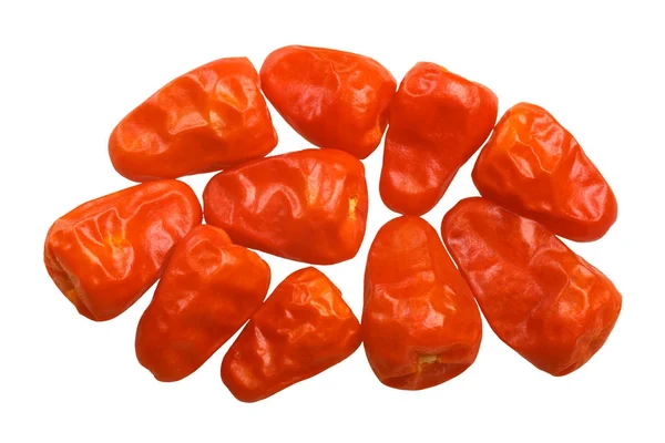 Dried Chilte Pequin peppers, top, paths — Stock Photo, Image