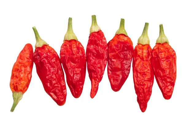 Dried Tabasco chiles C. frutescens, top, path — Stock Photo, Image