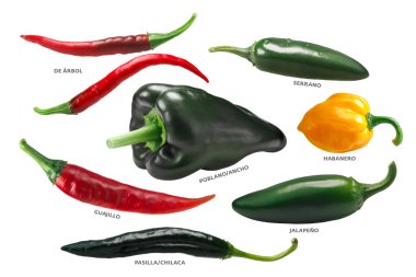 Mexican chile peppers, paths clipart