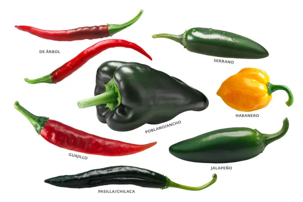 Mexican chile peppers, paths — Stock Photo, Image