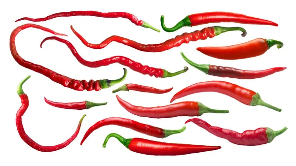 Cayenne chile peppers, paths — Stock Photo, Image