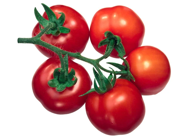 Cluster of tomatoes on the vine tov, top — Stock Photo, Image