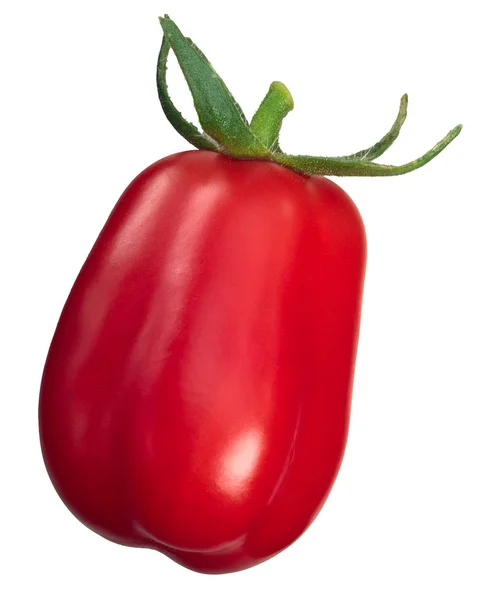 Сливовый томат Скатолон, дорожки — стоковое фото
