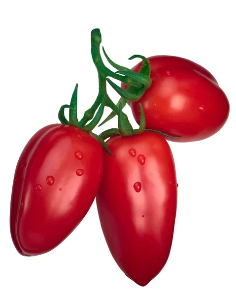 Kluster tomat Scatolone S. marzano — Stok Foto