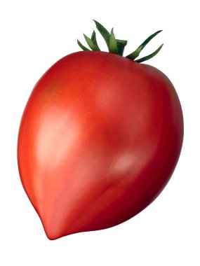 Cuore di bue oxheart tomato, paths