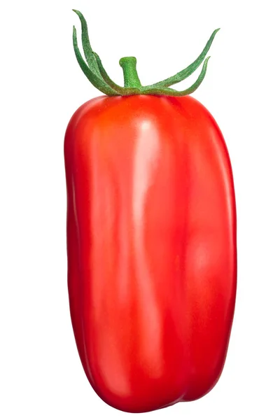 Scatolone S.Marzano tomate, top, caminos — Foto de Stock
