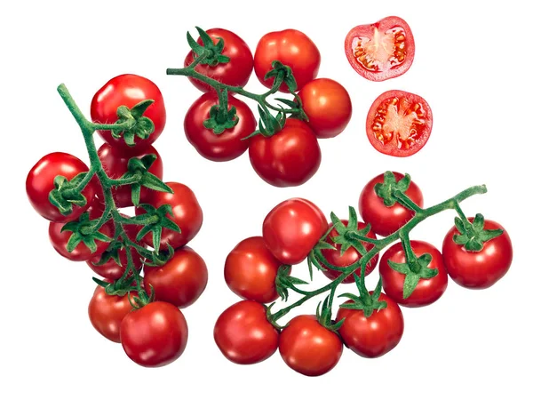 Regina tomater på rankan — Stockfoto