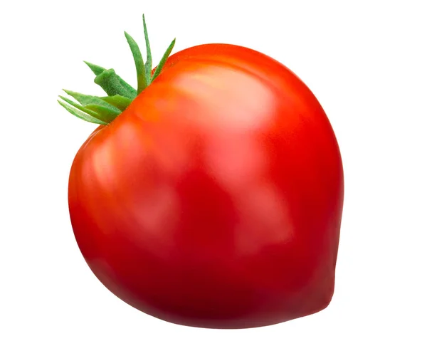 Oxheart cuor di bue tomato — ストック写真
