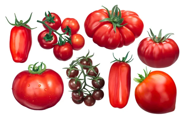 イタリアン トマト、品種、パス — ストック写真