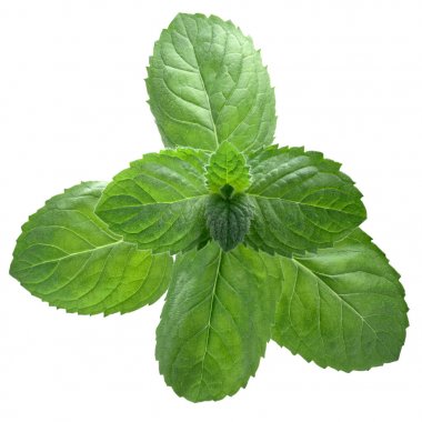 Nane yaprakları yukarıdan, yolları