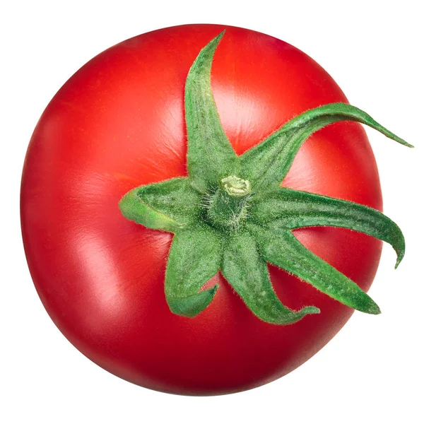 Globe tomato top view, calyx up — Stock Photo, Image