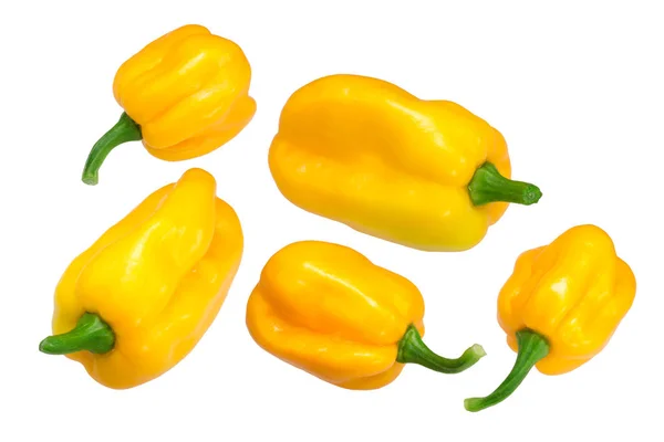 Mako Akokosrade c. chinense paprika — Stockfoto