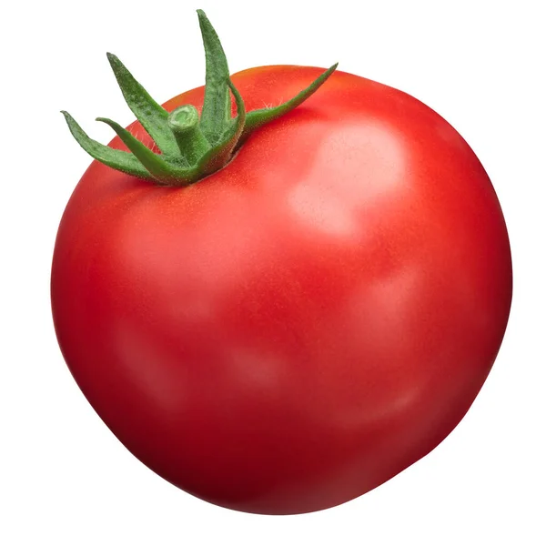 Globe tomato s. lycopersicum, chemins — Photo