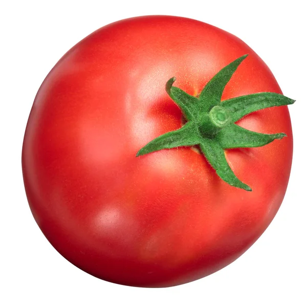 Globus-Tomate, Lycopersicum, Wege — Stockfoto