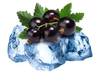 Donmuş kuşüzümü izole edilmiş yollar.