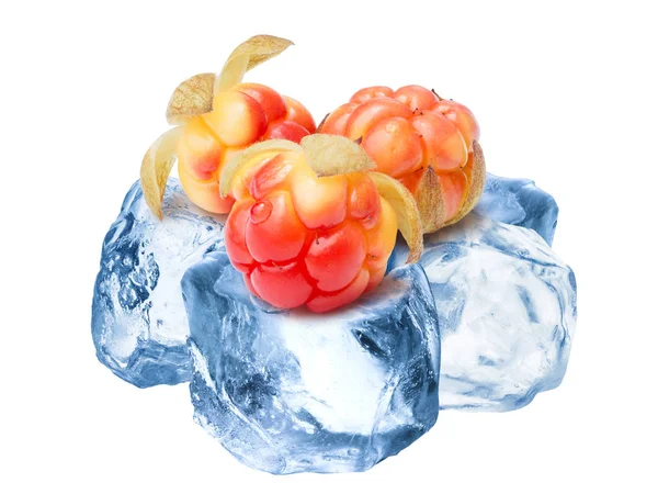 Donmuş cloudberries izole — Stok fotoğraf
