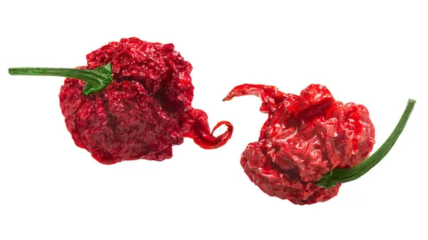 Dried carolina reaper peppers, paths — Stock Photo, Image