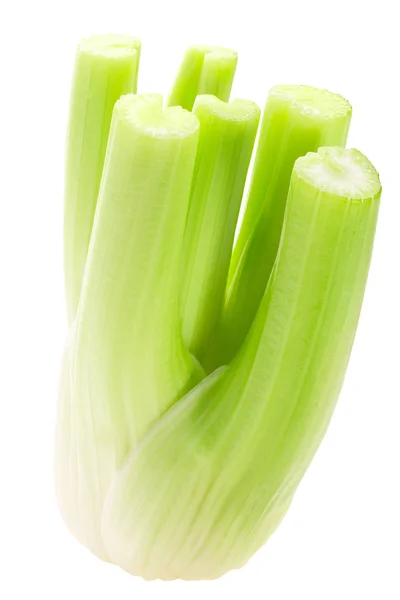 Celery stem bundle A. graveolens, path — 스톡 사진