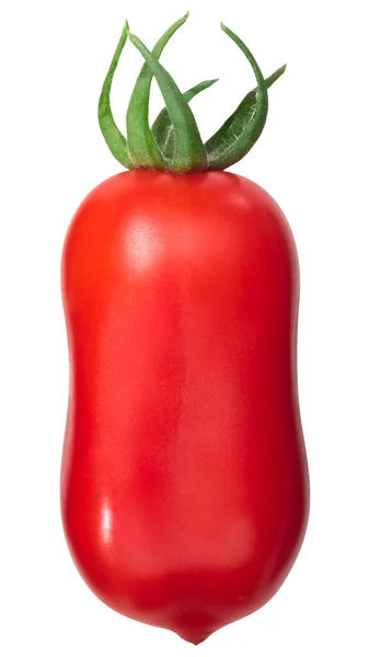 San Marzanon Tomaatti Solanum Lycopersicum Hedelmä Tuore Nuppineulan Kanssa Eristetty — kuvapankkivalokuva