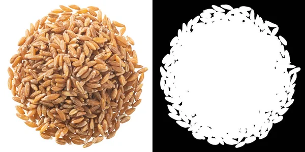 Spelt Farro Eller Einkornbovete Isolerat Ovanifrån — Stockfoto