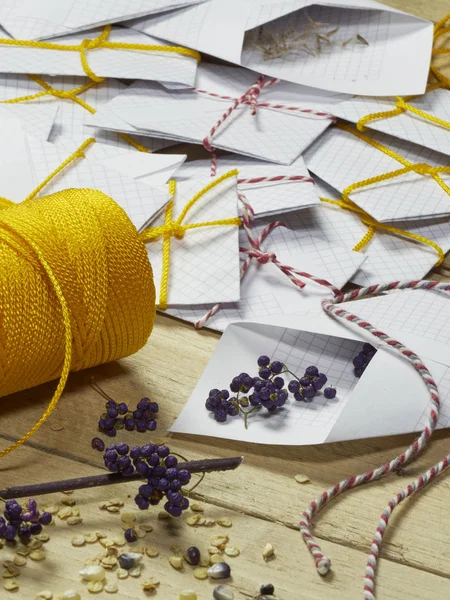 Miras ve aile yadigarı sebze, meyve, flo hasat ve biriktirme