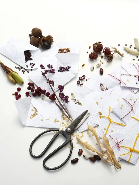 homemade white paper packets of seeds isolated on white