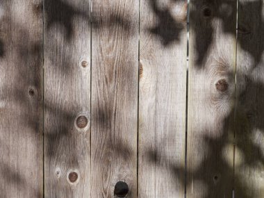 A weathered garden cedar fence background with dappled sunshine shadowed by leaves.