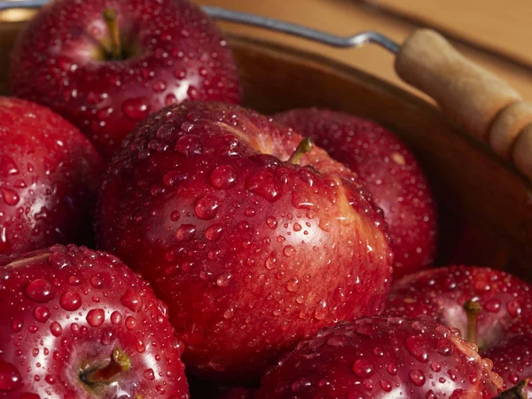 The fresh harvest of organic apples outdoors in dappled sunlight