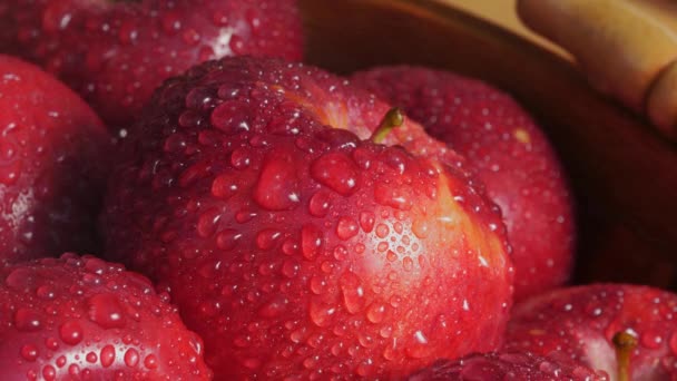 Cosecha Fresca Manzanas Orgánicas Aire Libre Luz Del Sol Moteada — Vídeos de Stock