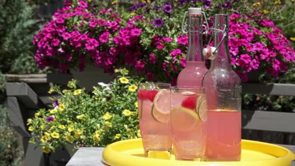 Gläser Rosa Limonade Mit Zitronen Limetten Und Himbeeren Auf Einem — Stockvideo
