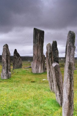 Callanish duran taş daire